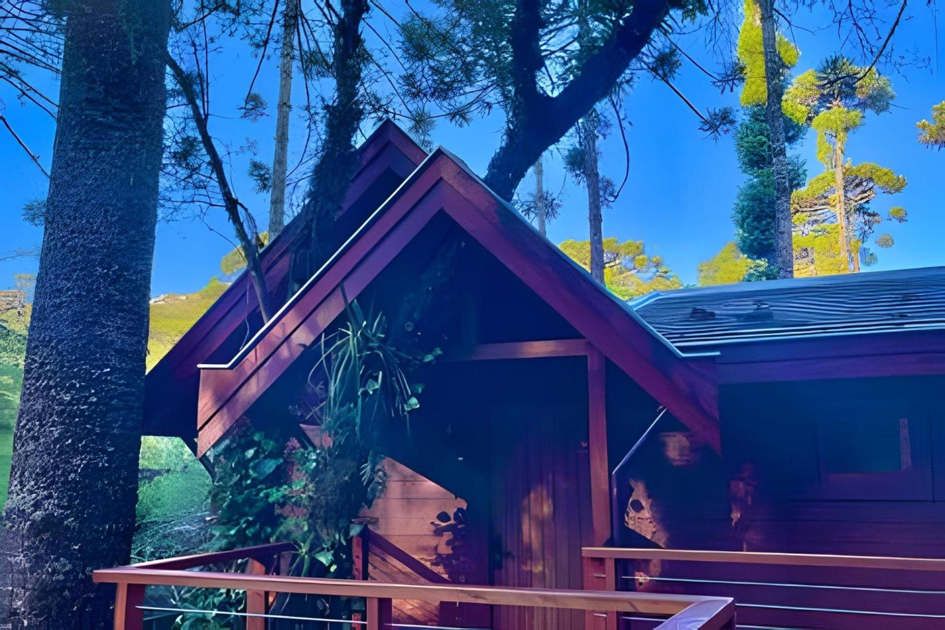 Cabana Suspensa Na Natureza - Regiao Turistica Campos do Jordão Esterno foto